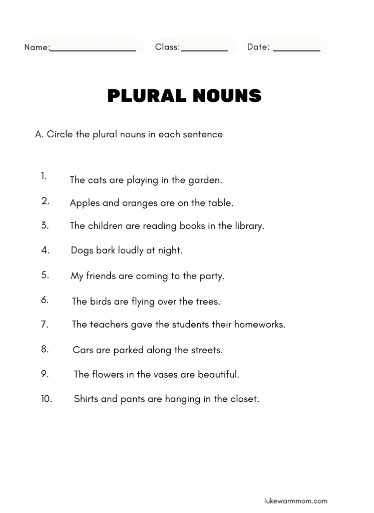Grade 2 Plural Noun Worksheet Free Printable PDF for Kids