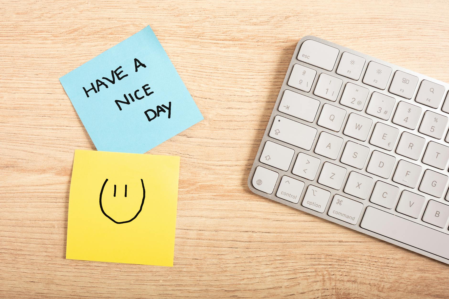 Have and Has Worksheets for Kids(Free Printable)