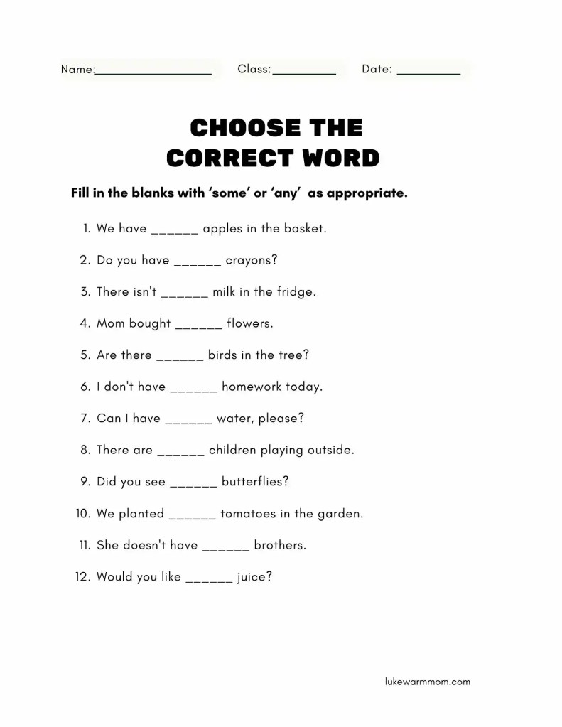 Some vs Any Worksheet for Grade 3- 5